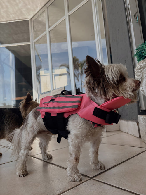 AquaPaws WaterGuard™ Life Jacket